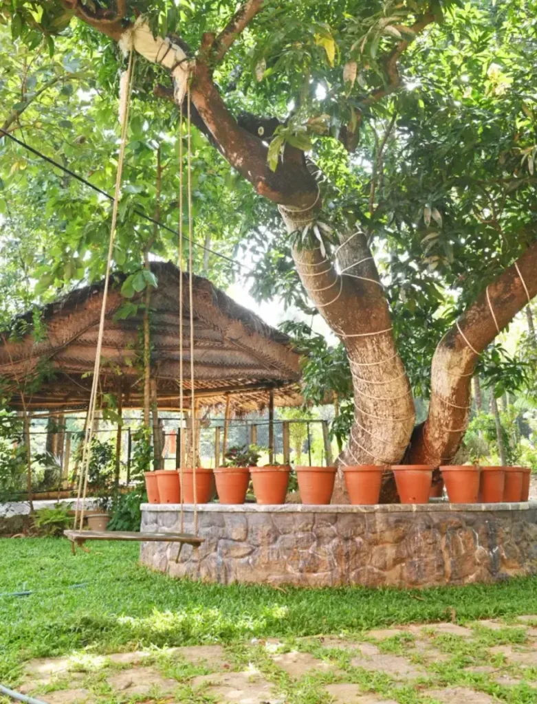 farm stay resort nisarga greens farm stay